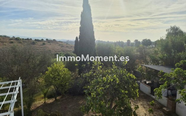 Revente - Maison de campagne - Intérieur                       - Estacion de Cartama