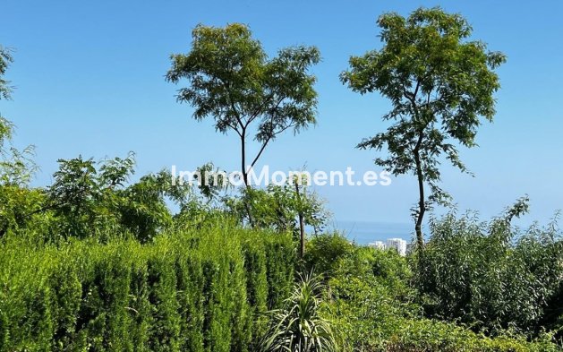 Wiederverkauf - Wohnung - Torremolinos - El Pinillo