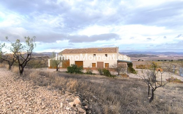 Reventa - Casa de campo - Yecla - Yecla Centro