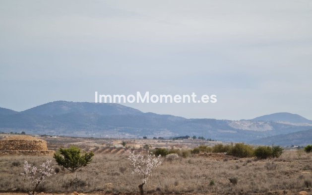 Revente - Villa individuelle - Pinoso - Pinoso Centro