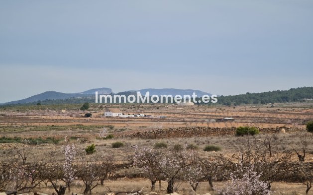 Revente - Villa individuelle - Pinoso - Pinoso Centro