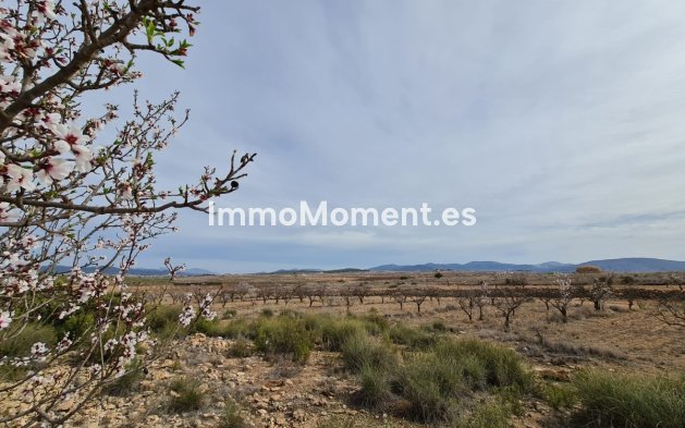 Revente - Villa individuelle - Pinoso - Pinoso Centro