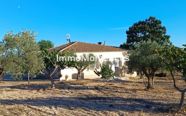Resale - Country house - Yecla - Yecla Centro