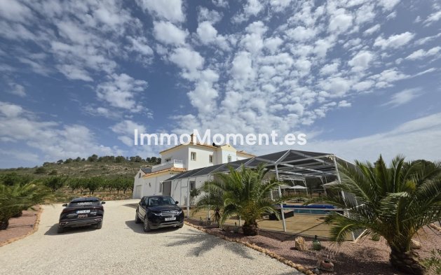 Bestaande woning - Vrijstaande villa - Pinoso - Pinoso Centro