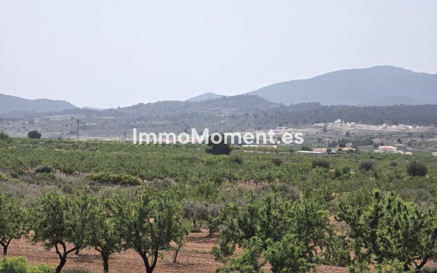 Bestaande woning - Vrijstaande villa - Pinoso - Pinoso Centro