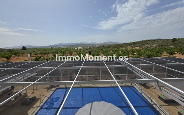 Bestaande woning - Vrijstaande villa - Pinoso - Pinoso Centro