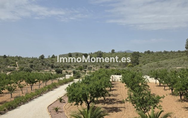 Bestaande woning - Vrijstaande villa - Pinoso - Pinoso Centro