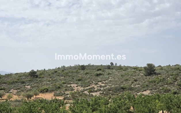 Bestaande woning - Vrijstaande villa - Pinoso - Pinoso Centro