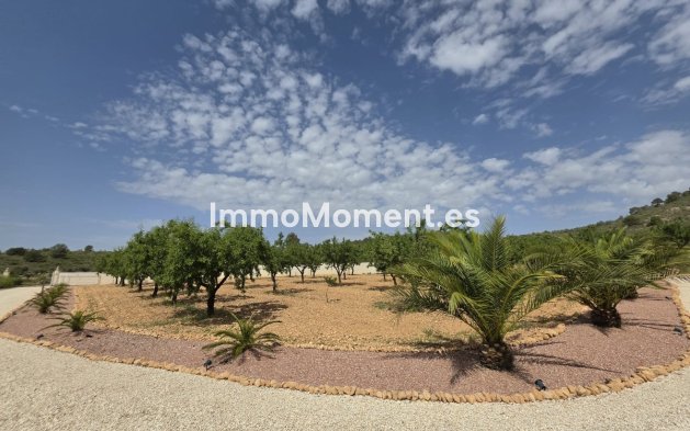 Bestaande woning - Vrijstaande villa - Pinoso - Pinoso Centro