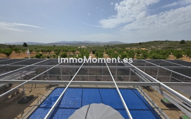 Bestaande woning - Vrijstaande villa - Pinoso - Pinoso Centro