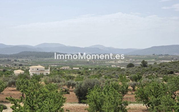 Bestaande woning - Vrijstaande villa - Pinoso - Pinoso Centro