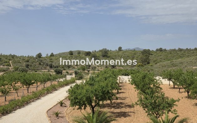 Bestaande woning - Vrijstaande villa - Pinoso - Pinoso Centro