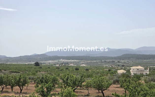 Bestaande woning - Vrijstaande villa - Pinoso - Pinoso Centro