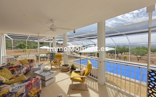 Bestaande woning - Vrijstaande villa - Pinoso - Pinoso Centro