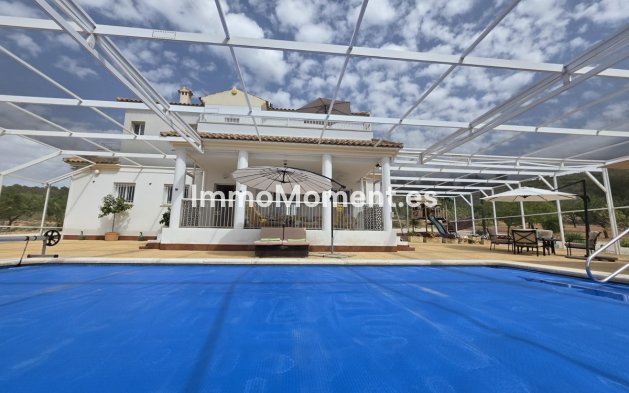 Bestaande woning - Vrijstaande villa - Pinoso - Pinoso Centro