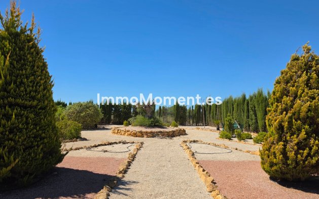 Bestaande woning - Vrijstaande villa - Pinoso - Pinoso Centro
