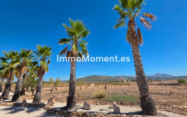 Bestaande woning - Vrijstaande villa - Pinoso - Pinoso Centro