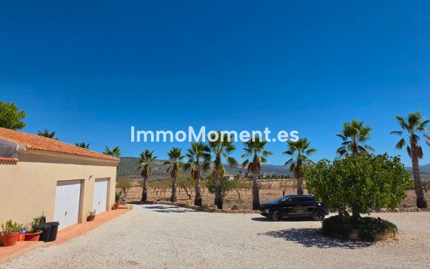 Bestaande woning - Vrijstaande villa - Pinoso - Pinoso Centro