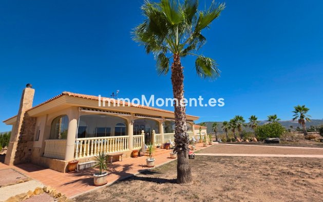 Bestaande woning - Vrijstaande villa - Pinoso - Pinoso Centro