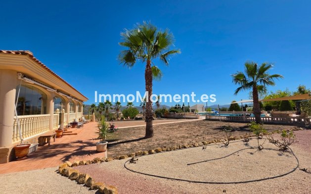 Bestaande woning - Vrijstaande villa - Pinoso - Pinoso Centro
