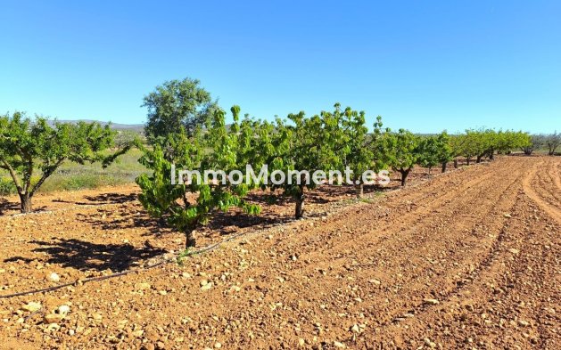 Resale - Country house - Yecla - Yecla Centro