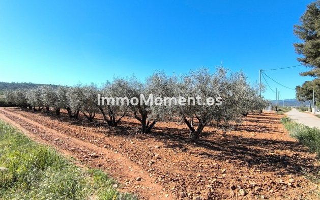 Resale - Country house - Yecla - Yecla Centro