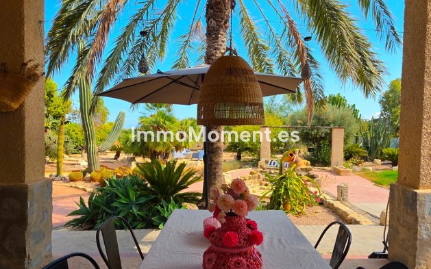 Bestaande woning - Landhuis - Elche - Elche Centro