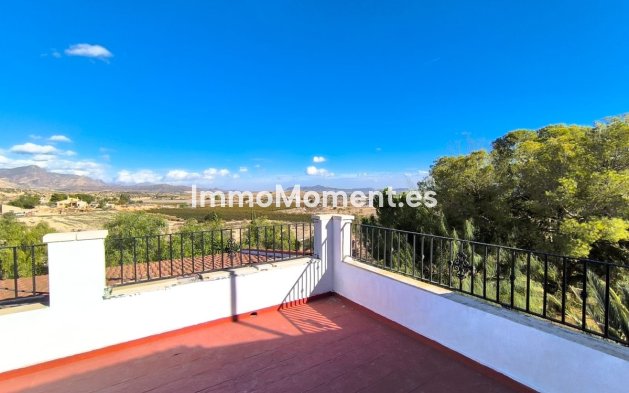 Reventa - Villa independiente - Novelda - Novelda Centro