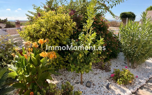 Resale - Detached villa - Fortuna - Fortuna Centro