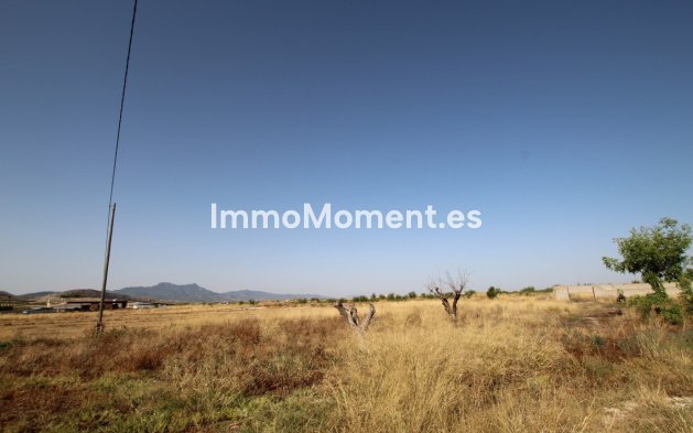 Bestaande woning - Landhuis - Jumilla - Torre Del Rico