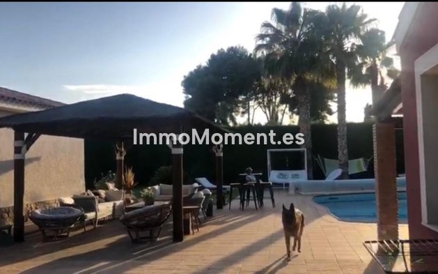 Reventa - Villa independiente - Elda - Elda Centro