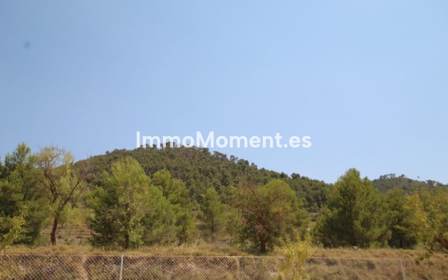 Reventa - Villa independiente - Pinoso - Pinoso Centro