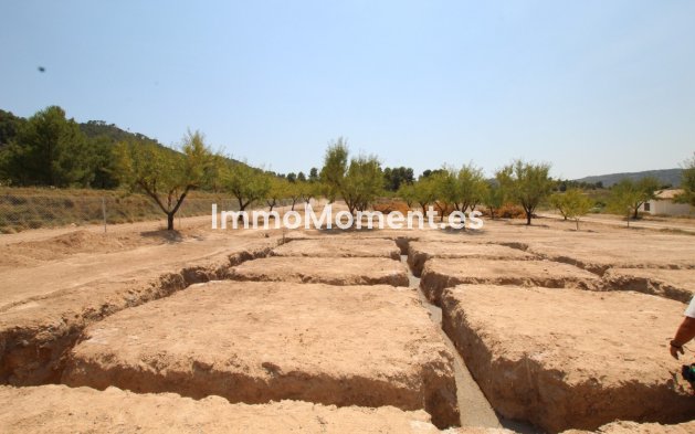 Reventa - Villa independiente - Pinoso - Pinoso Centro