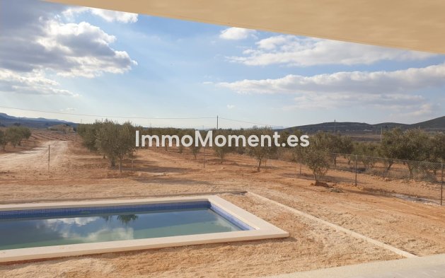 Reventa - Villa independiente - Pinoso - Pinoso Centro