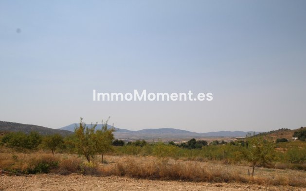Reventa - Villa independiente - Pinoso - Pinoso Centro