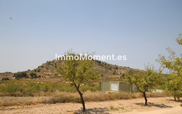Reventa - Villa independiente - Pinoso - Pinoso Centro