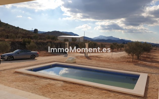 Reventa - Villa independiente - Pinoso - Pinoso Centro