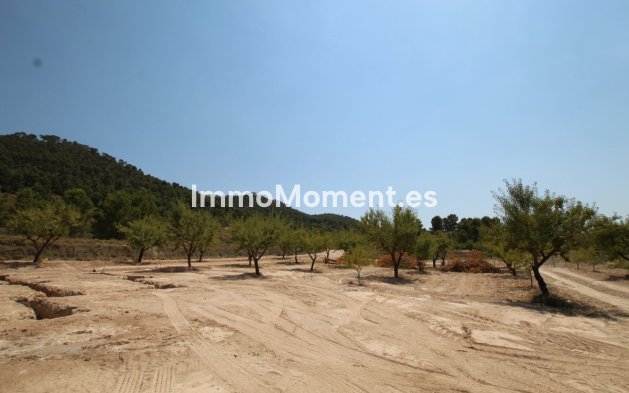 Reventa - Villa independiente - Pinoso - Pinoso Centro