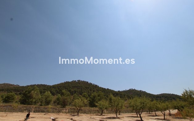 Reventa - Villa independiente - Pinoso - Pinoso Centro