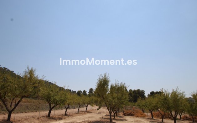 Reventa - Villa independiente - Pinoso - Pinoso Centro