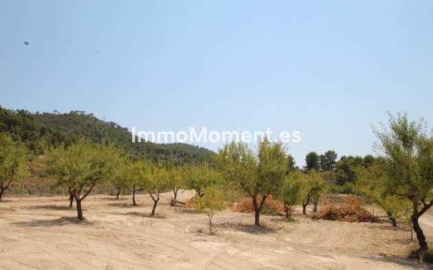 Reventa - Villa independiente - Pinoso - Pinoso Centro