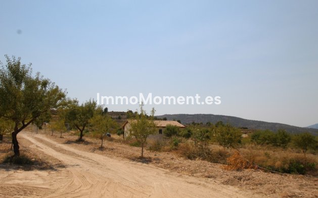 Reventa - Villa independiente - Pinoso - Pinoso Centro