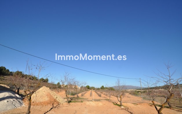 Reventa - Villa independiente - Pinoso - Pinoso Centro