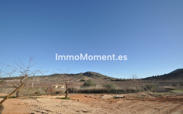 Reventa - Villa independiente - Pinoso - Pinoso Centro