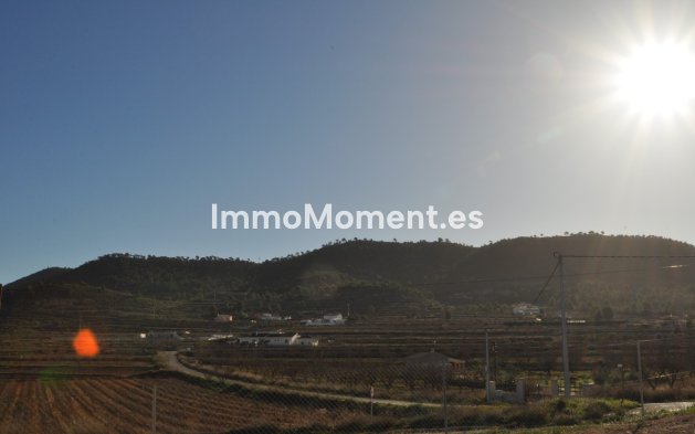 Reventa - Villa independiente - Pinoso - Pinoso Centro
