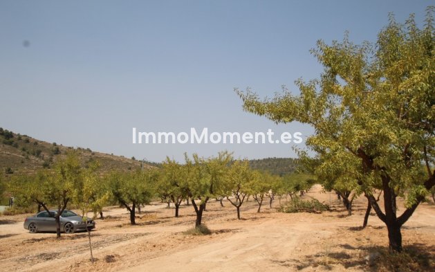 Resale - Detached villa - Pinoso - Pinoso Centro