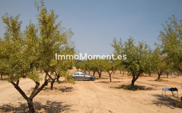 Resale - Detached villa - Pinoso - Pinoso Centro