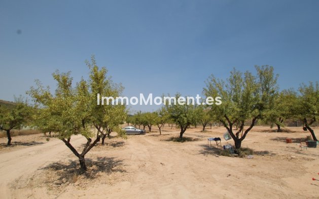 Resale - Detached villa - Pinoso - Pinoso Centro
