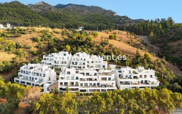 Wiederverkauf - Wohnung - Marbella - Marbella Centro