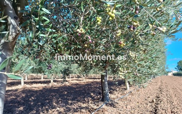 Resale - Detached villa - Yecla - Yecla Centro